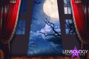 Beautiful Backdrop Image
